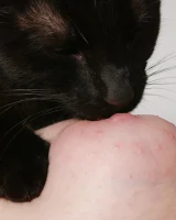 Abby Winters - 07-gabrielle064