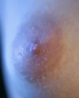 Abby Winters - 52-julietta052