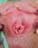 Abby Winters - 44-r_rosanna4045