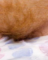 Abby Winters - 65-ursula066