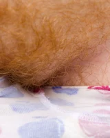 Abby Winters - 66-ursula067