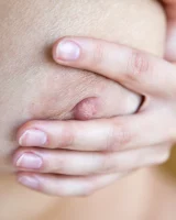 Showy Beauty - 71-0071