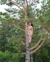 Showy Beauty - 73-ShowyBeauty-0082