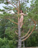 Showy Beauty - 77-ShowyBeauty-0087