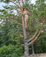 Showy Beauty - 80-ShowyBeauty-0090