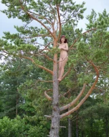 Showy Beauty - 82-ShowyBeauty-0092