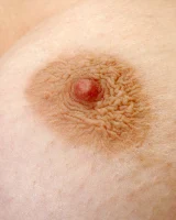 XX Cel - 70-Caro_001_p_070